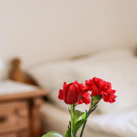 Apartment Vordermitterast 蒂罗尔-基希贝格 外观 照片